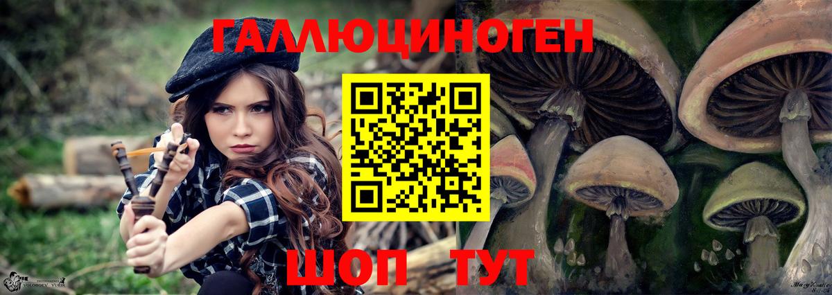 Псилоцибиновые грибы Psilocybine cubensis  Вход с VPN  Скопин 
